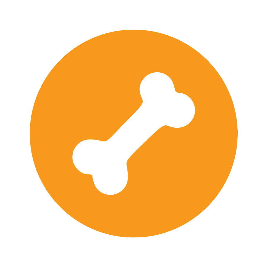 901x901 Bone Icon