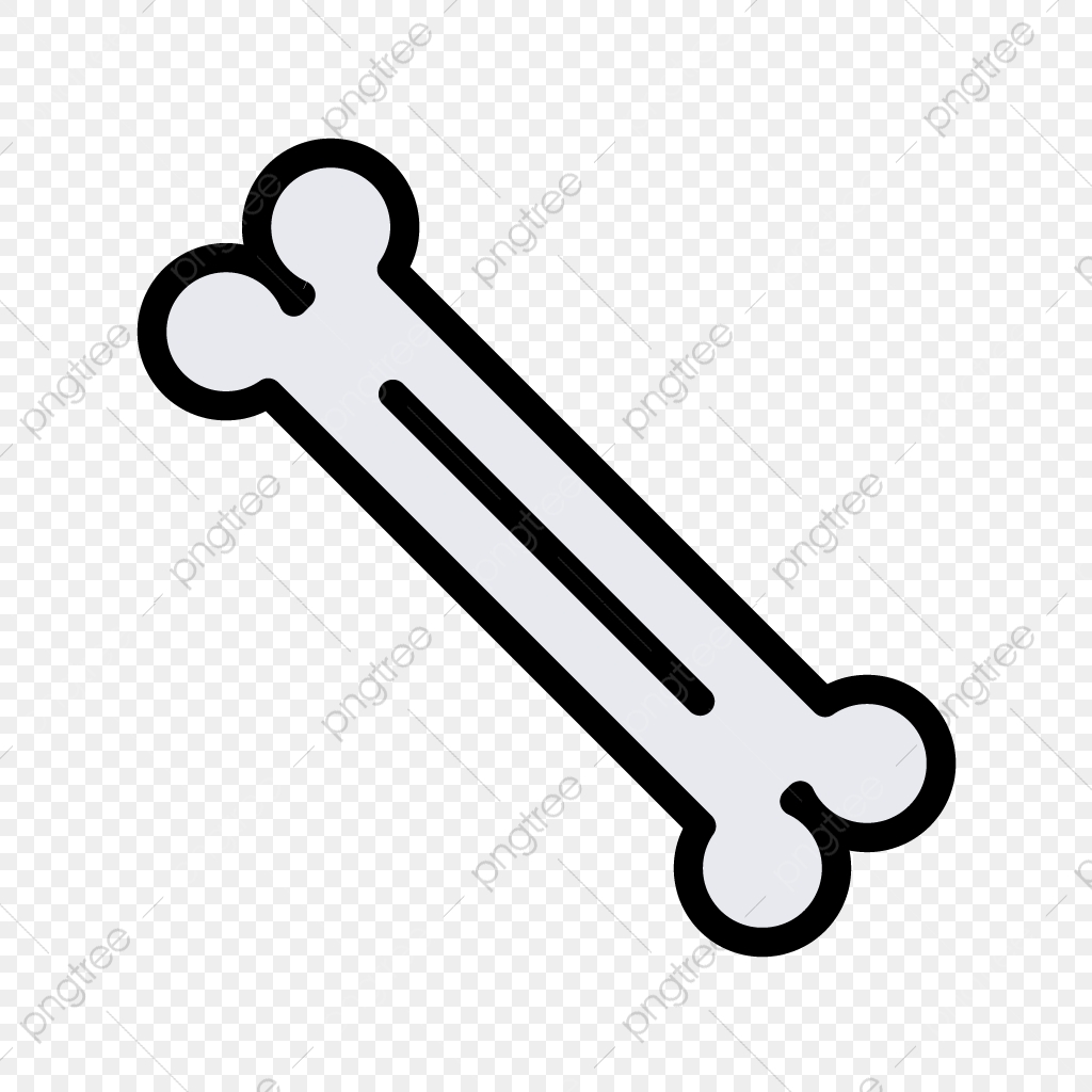 1024x1024 Vector Bone Icon, Orthopedist, Orthopedics, Orthopedis Icon Png