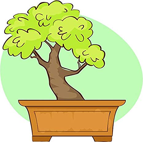 Bonsai Tree Icon
