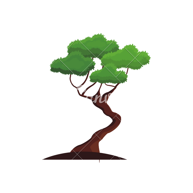 800x800 Bonsai Tree Icon