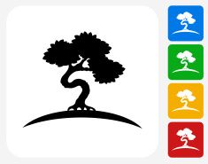 235x185 Bonsai Tree Icon Flat Graphic Design Vector Art Illustration Art