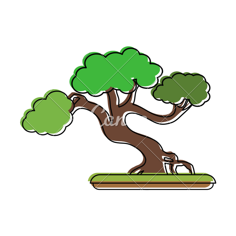 800x800 Bonsai Tree Japan Related Icon Image