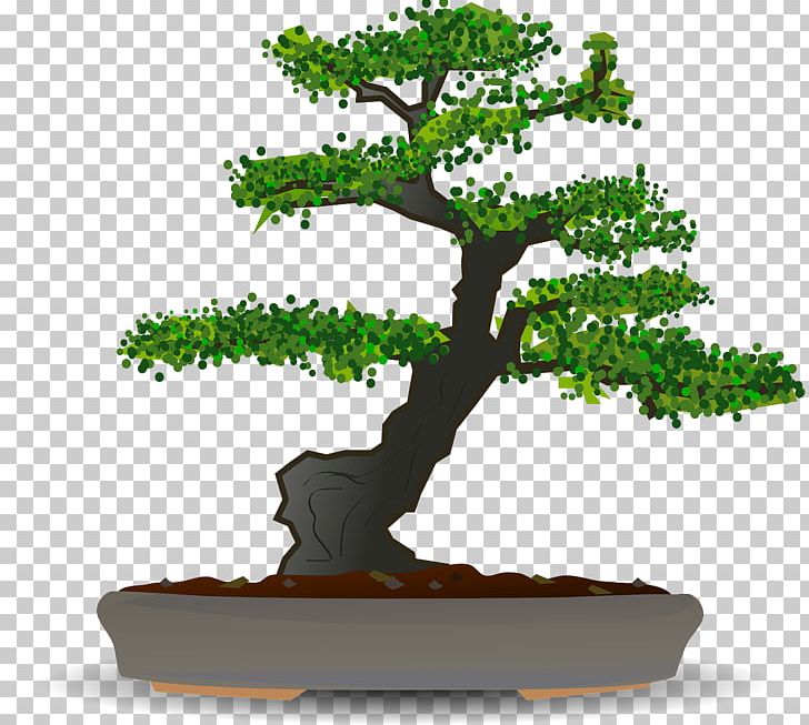 728x653 Bonsai Tree Png, Clipart, Bons Computer Icons, Flowerpot