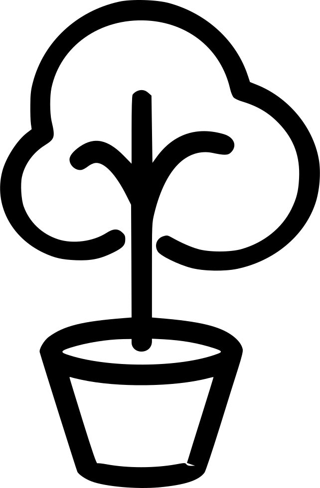 642x980 Bonsai Tree Plant Green Png Icon Free Download