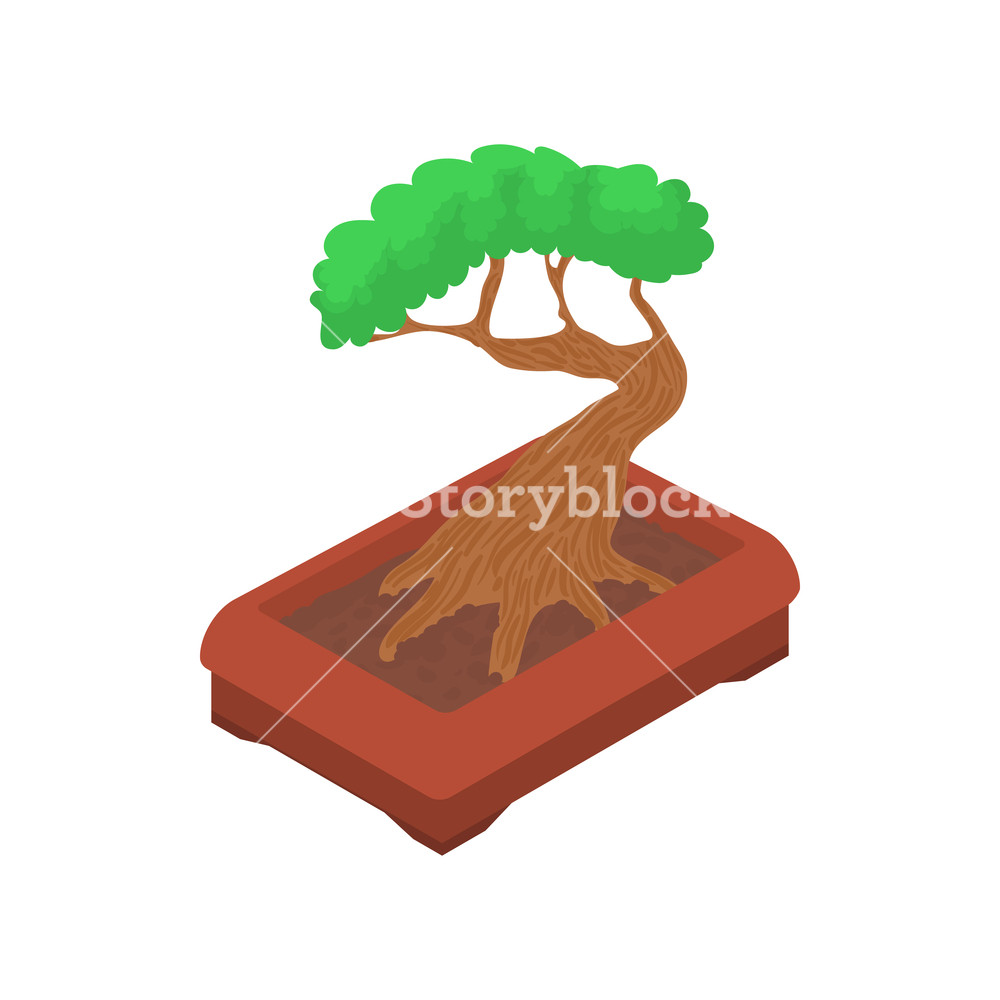1000x1000 Bonsai Tree Icon In Cartoon Style Isolated On White Background