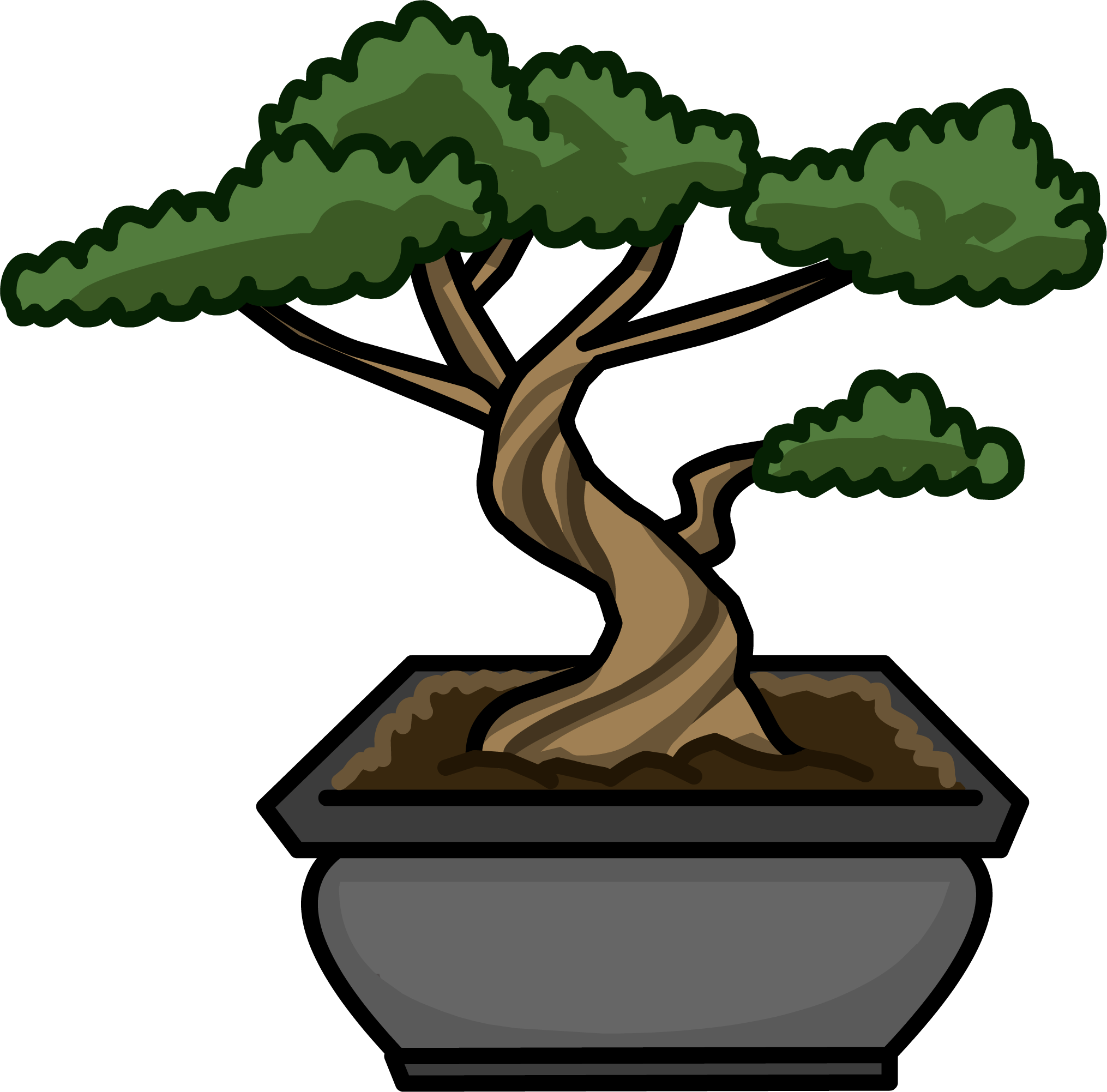2030x2003 Bonsai Tree Club Penguin Wiki Fandom Powered