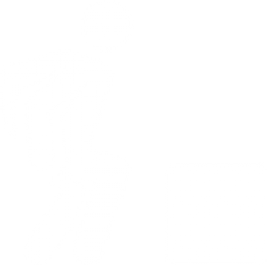 300x300 Bootcamp Icon