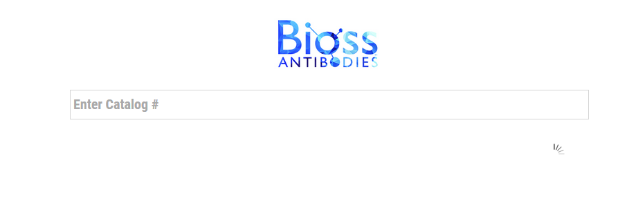 893x294 How To Position Loading Animation Inside Input Box