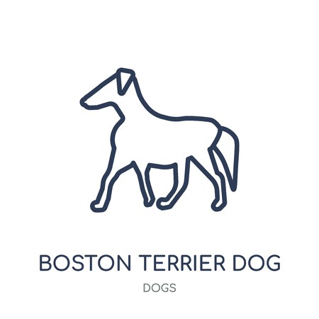 450x450 Boston Terrier Dog Icon Boston Terrier Dog Linear Symbol Design