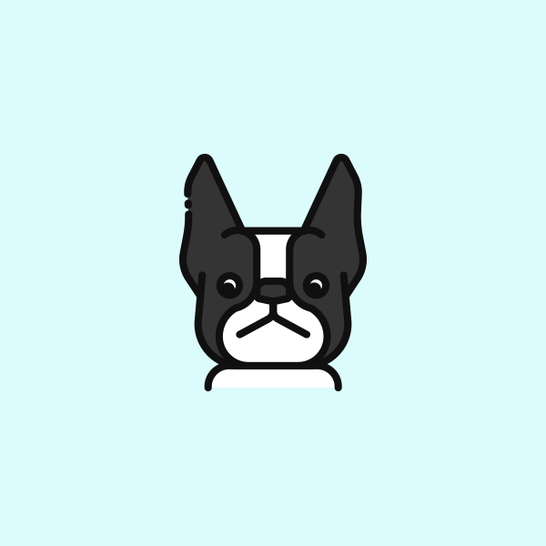 600x600 Boston Terrier Icon Christy Kintzel