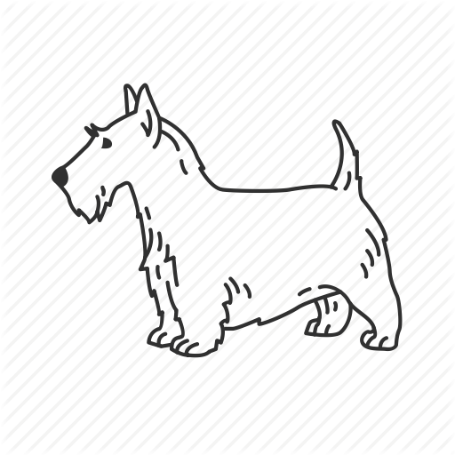 512x512 Boston Terrier, Dog, Scottie Dog, Small Land Mammal, Terrier Icon