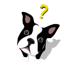 240x240 Cute Chic Boston Terrier Dog Line Stickers Line Store