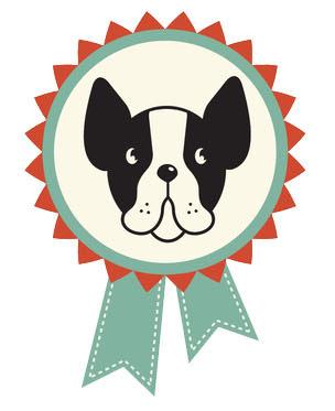 304x373 Pet Lover Icon