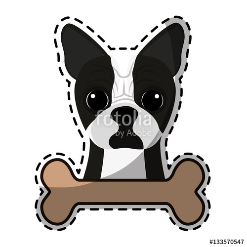 500x500 Boston Terrier Dog Breed Emblem Icon Image Sticker Vector