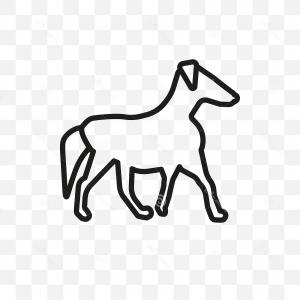 300x300 Boston Terrier Dog Vector Linear Icon Isolated Transparent