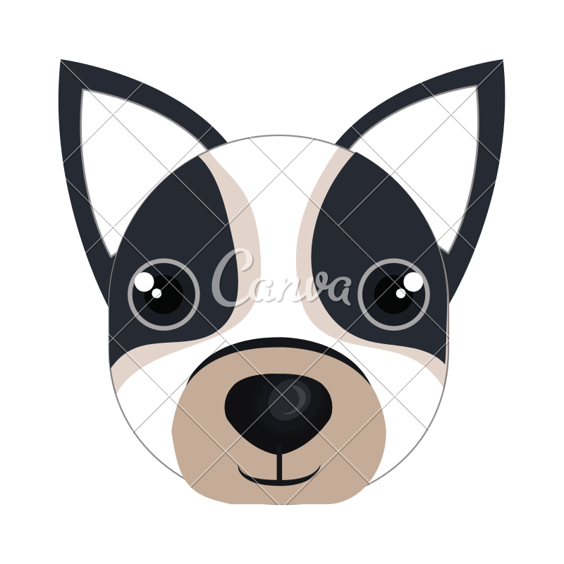 800x800 Boston Terrier Face Icon
