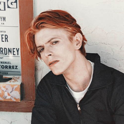 500x500 David Bowie Icons Tumblr
