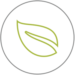 300x300 Tritan Safe Faqs