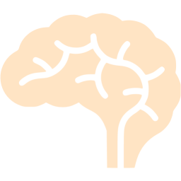 Brain Icon Free