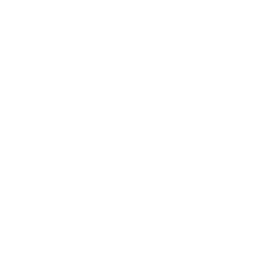 256x256 Free White Bran