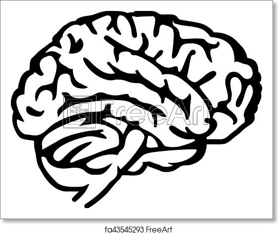 560x470 Free Art Print Of Bran Freeart