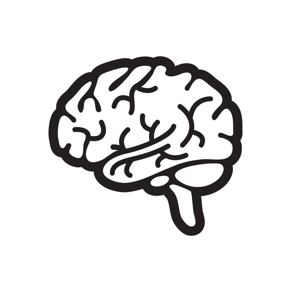 999x1000 Stylish Black And White Icon Human Brain Vector
