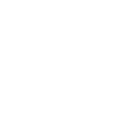 256x256 White Brain Icon