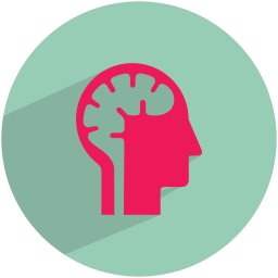 256x256 Human Bran Myiconfinder