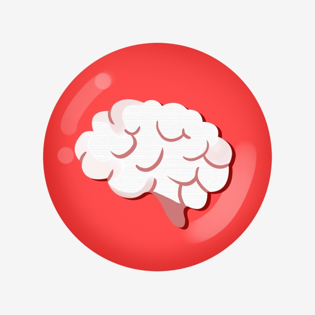 640x640 Human Organ Bran, Human Organs, Brain, Brain Png Transparent