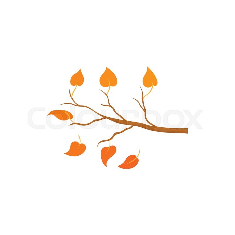 800x800 Yellow Leaves On A Branch Icon, Stock Vector Colourbox