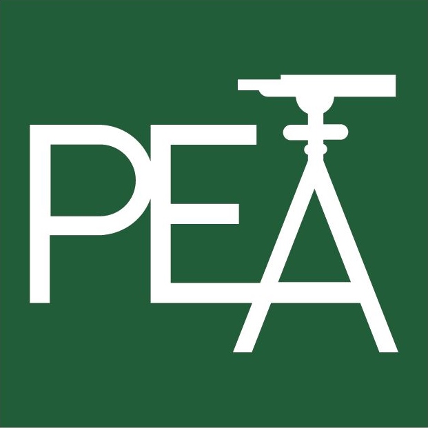621x621 New Name Pea Professional Engineering Associates Inc