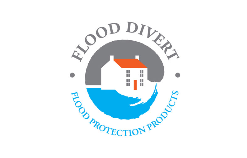 787x505 Infographic Services, Infographic Designer, Illustrator