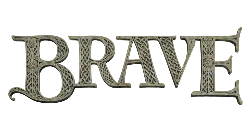 1024x509 Brave Icon