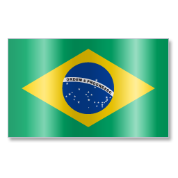 Brazil Flag Icon 256x256 Brazil Flag Icon