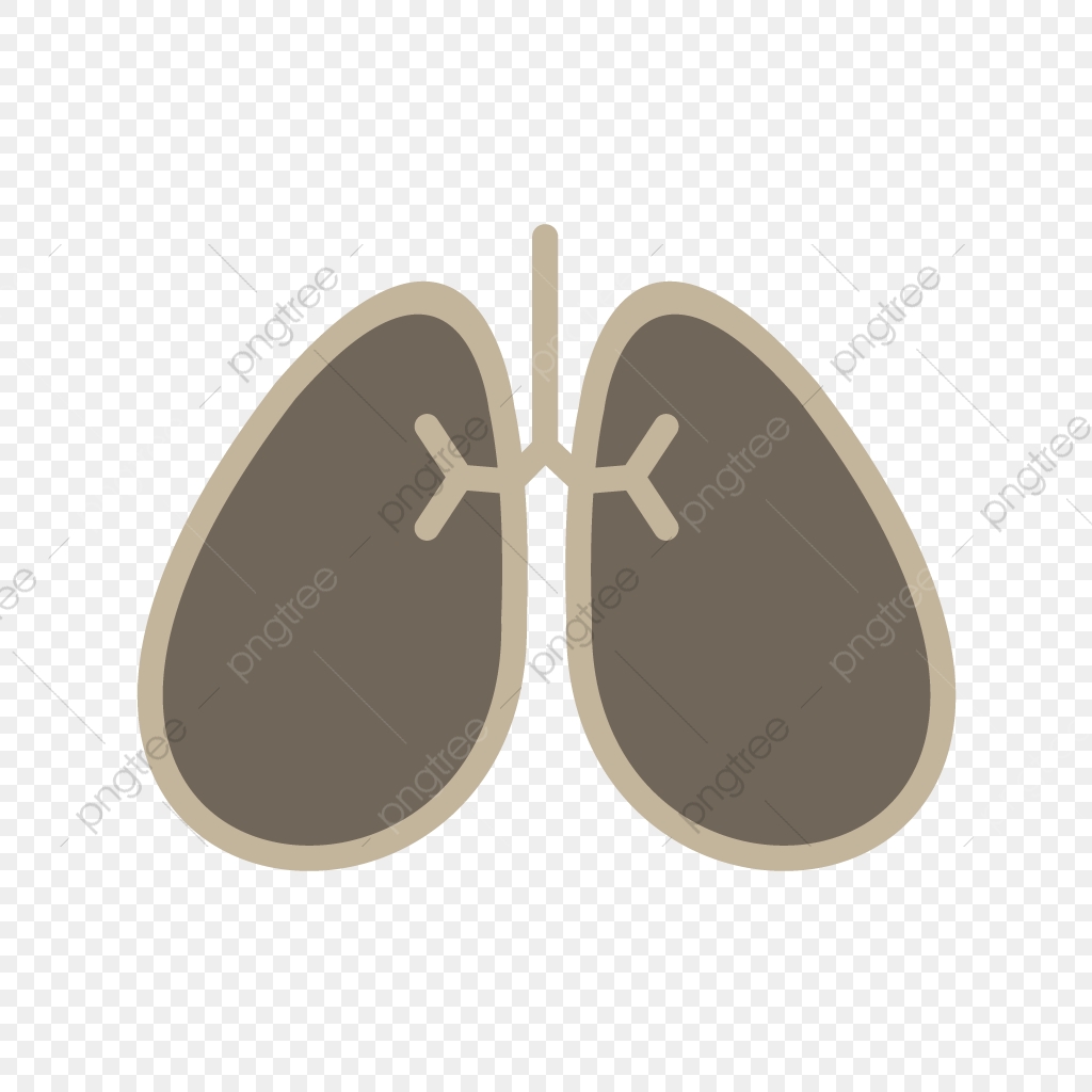 1024x1024 Vector Lungs Icon, Breath, Lungs, Pulmonology Icon Png And Vector