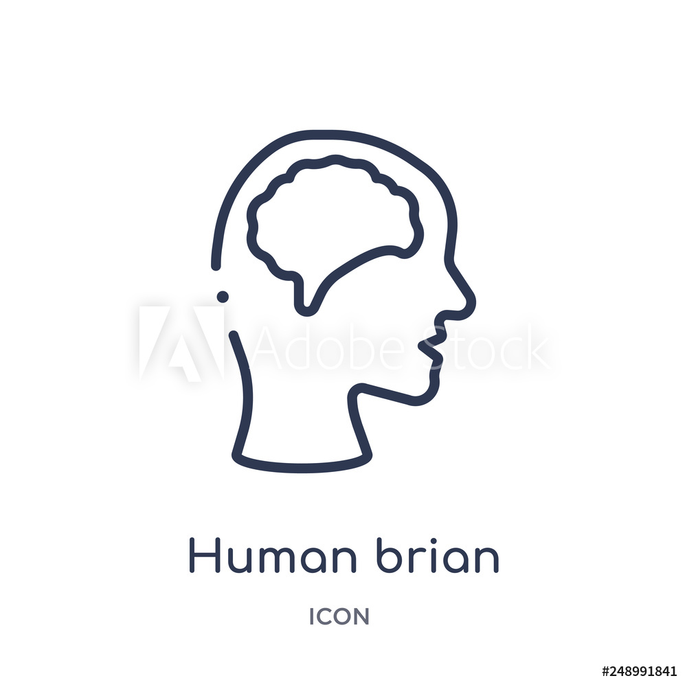 1000x1000 Photo Art Print Human Brian Icon From Nature Outline Collection