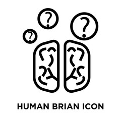 240x240 Search Photos Human Brian Icon