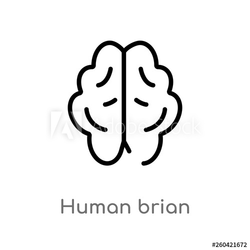 500x500 Outline Human Brian Vector Icon Isolated Black Simple Line
