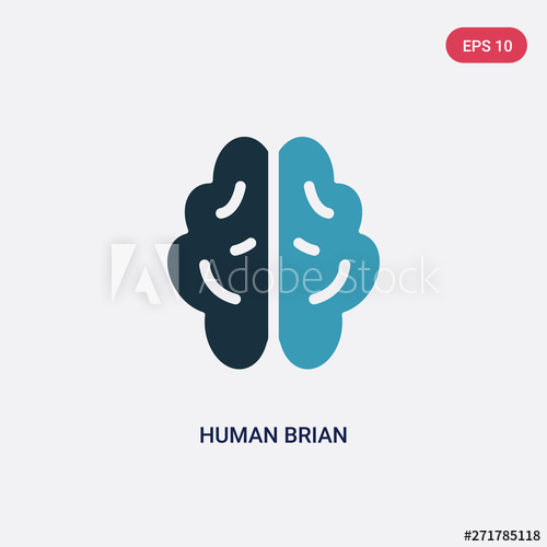 500x500 Two Color Human Brian Vector Icon From Nature Concept Isolated