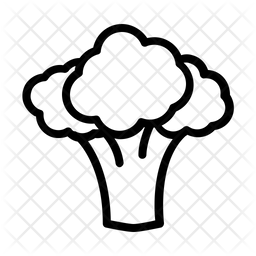 256x256 Broccoli Icon Of Line Style