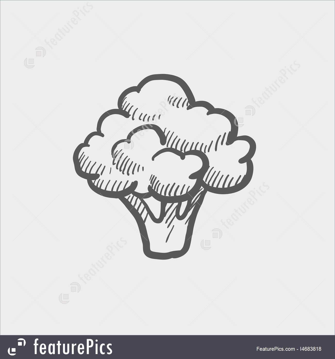 1300x1392 Broccoli Sketch Icon Stock Illustration