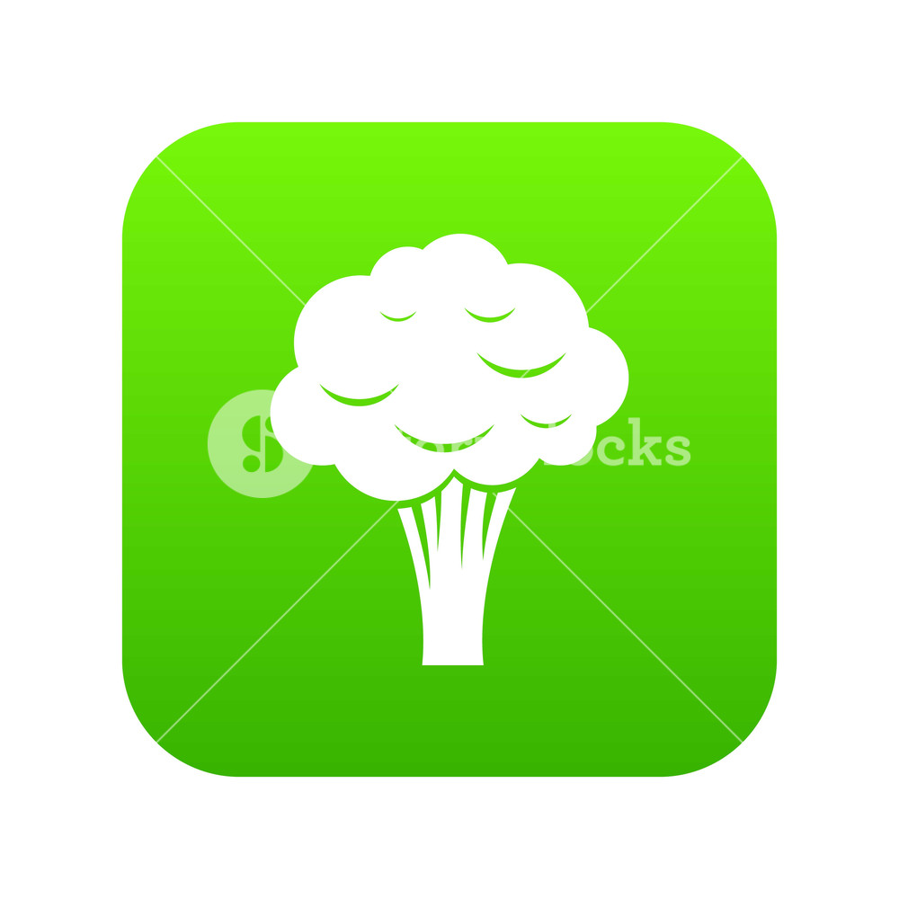 1000x1000 Broccoli Icon Digital Green For Any Design Isolated On White