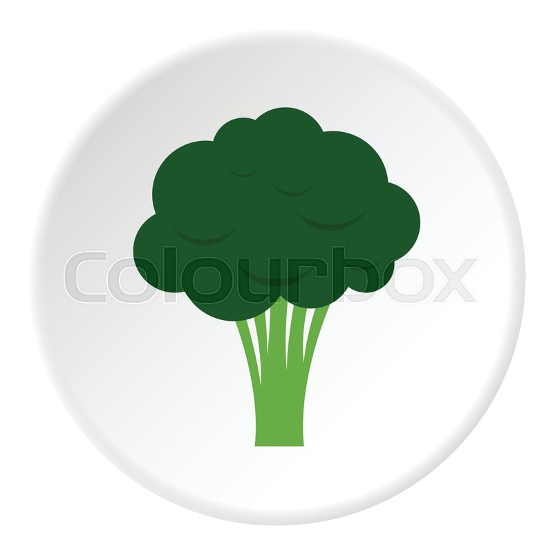 800x800 Broccoli Icon Flat Illustration Of Stock Vector Colourbox