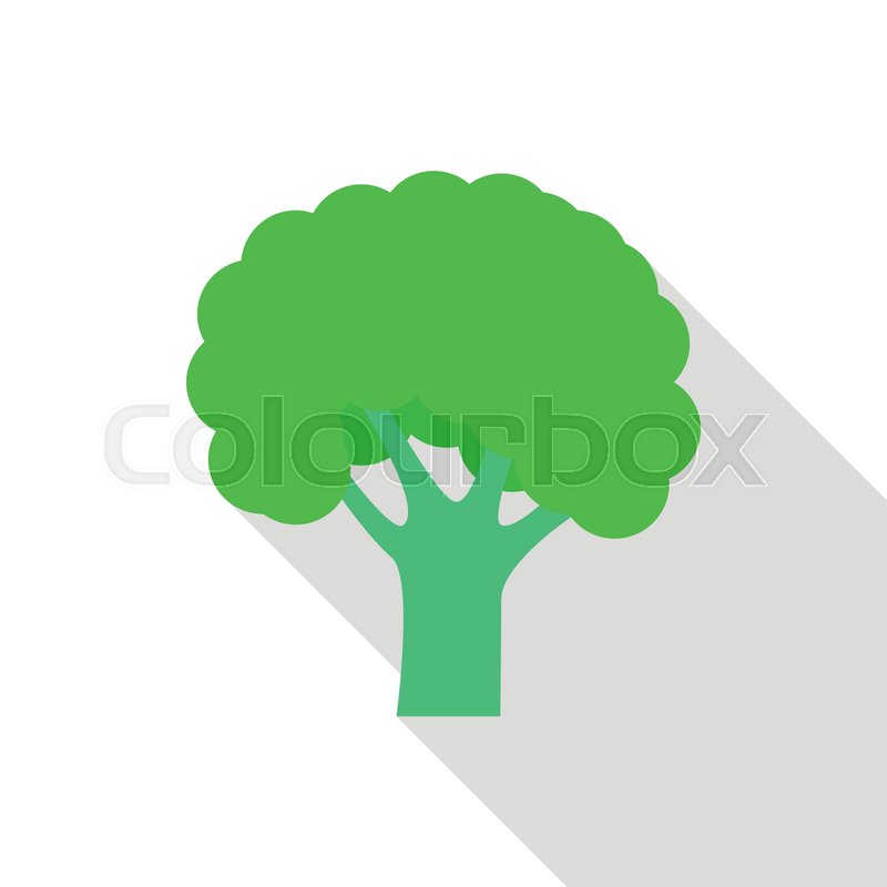 800x800 Fresh Broccoli Icon Flat Illustration Stock Vector Colourbox