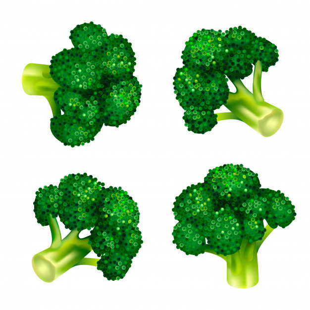 626x626 Green Broccoli Icon Set Isometric Set Of Green Broccoli Vector