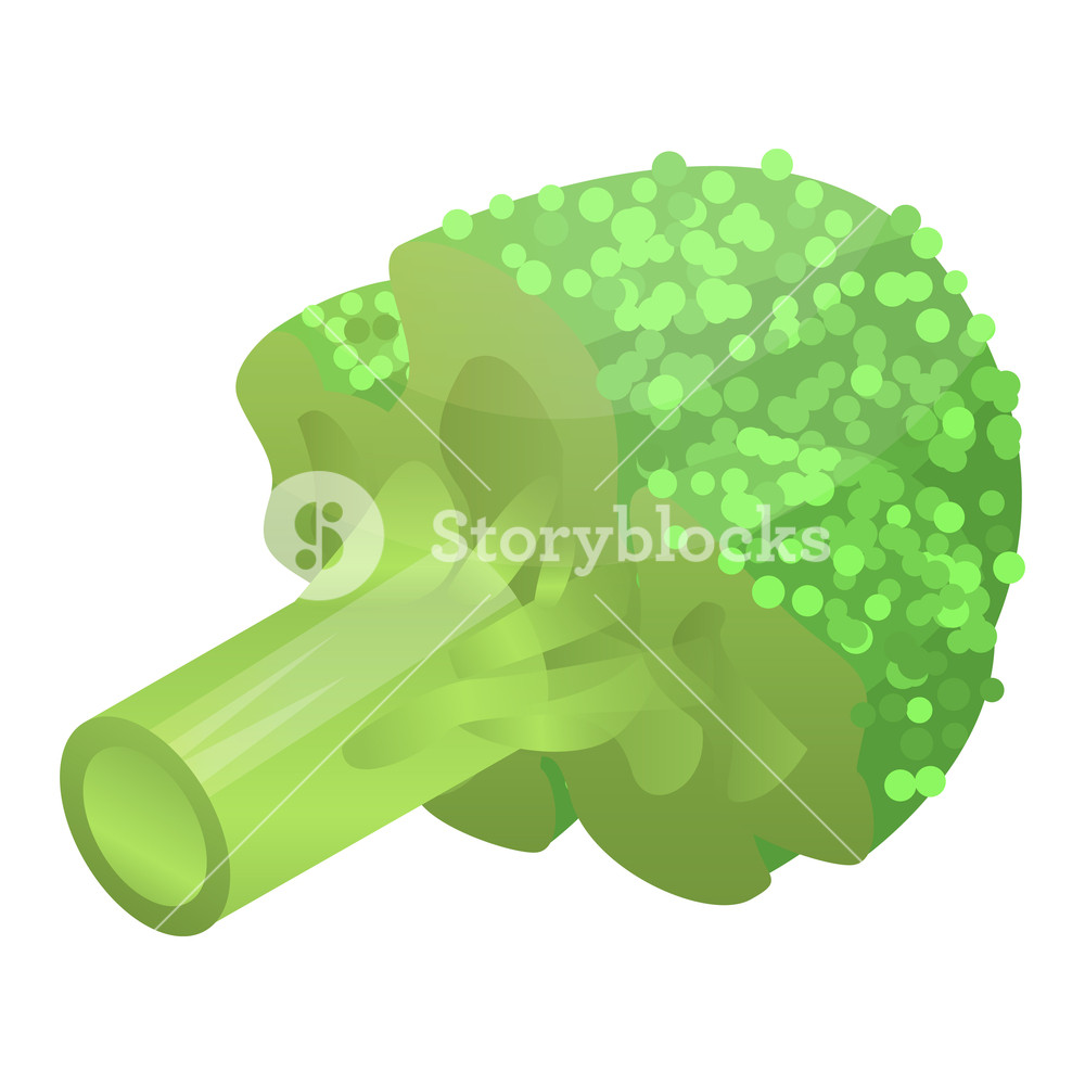 1000x1000 Raw Broccoli Icon Isometric Of Raw Broccoli Vector Icon For Web