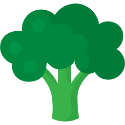 256x256 Broccoli Icon Myiconfinder