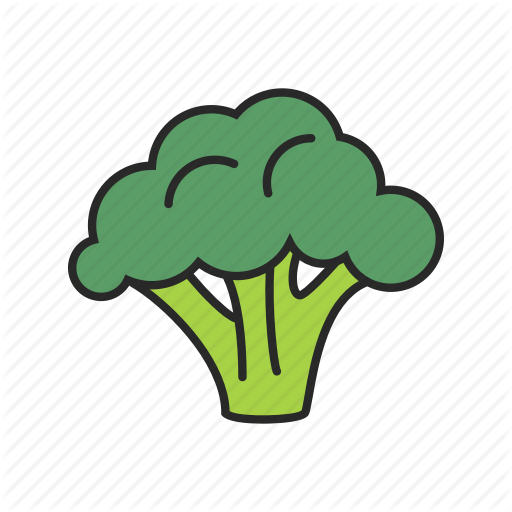 512x512 Broccoli, Food, Healthy, Vegetable, Vegetarian Icon
