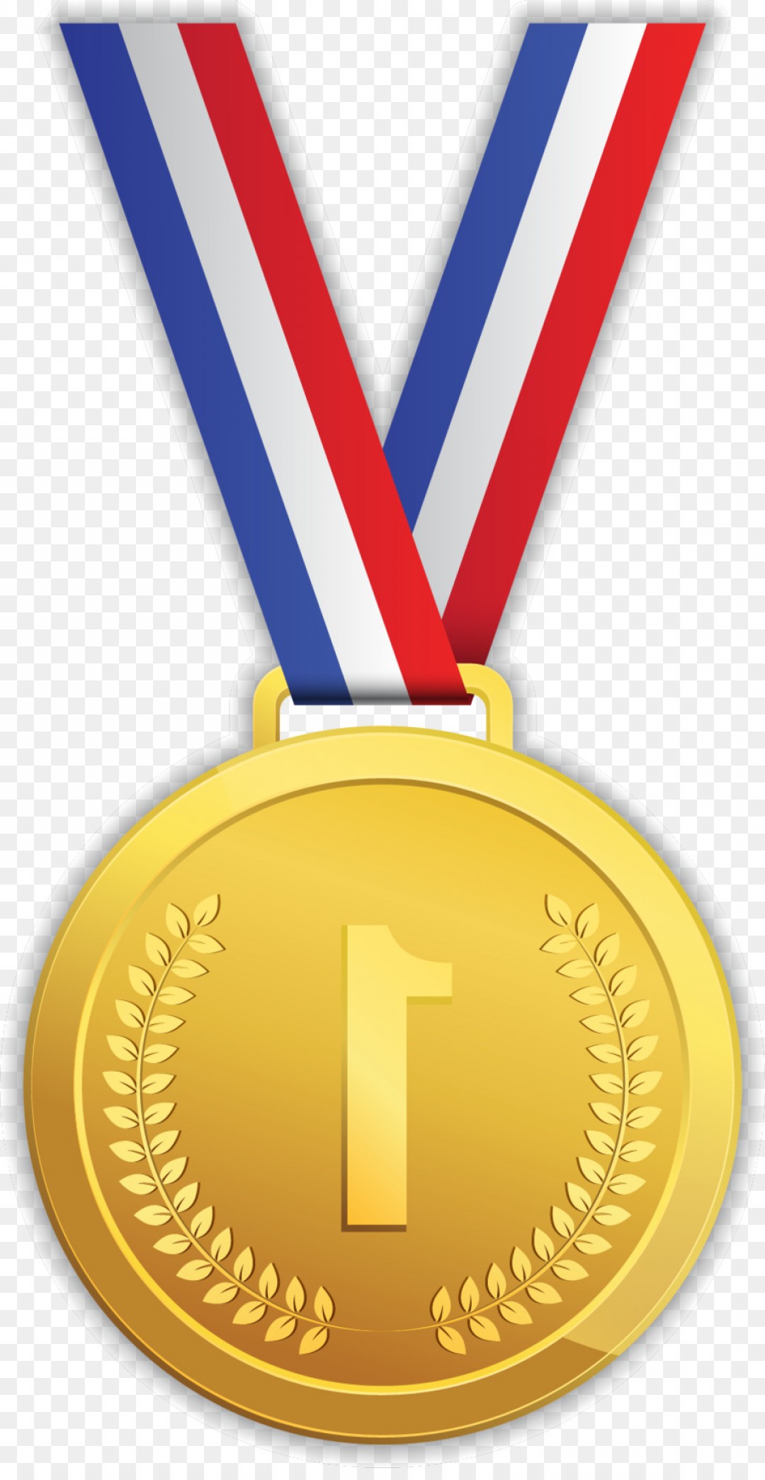 1080x2088 Png Bronze Medal Silver Medal Gold Medal Olympic Medal Soidergi