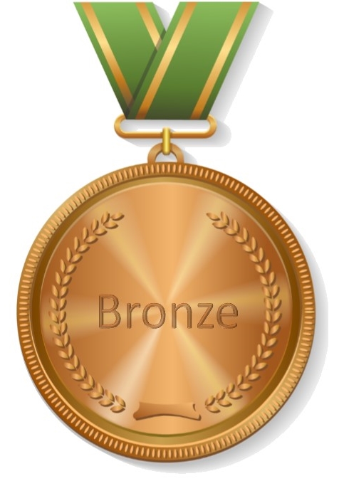 476x676 Bronze Medal Icon